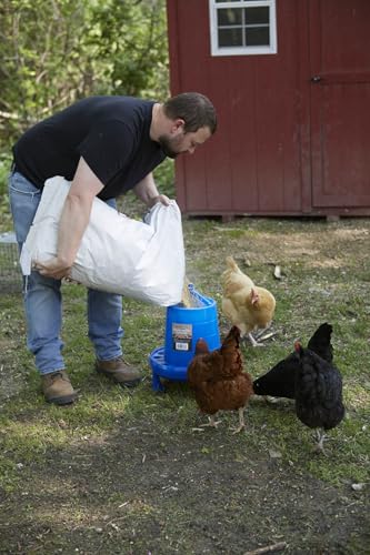Double-Tuf® Poultry Feeder with Legs | Durable Feeding Container | Carrying Handle for Chickens & Birds | Chicken Feeder | 26 Lbs - size: 26 lbs