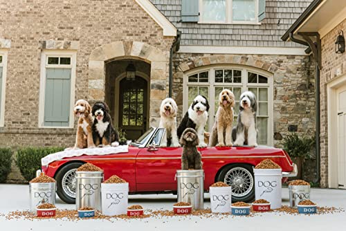 Harry Barker Classic Silver Dog Food Storage Canister – Large, Airtight Stainless Steel Pet Food Container, Holds Up to 40 lbs Dry Dog Food, Kitchen Counter & Pantry Storage - Silver - color: Silver & Black