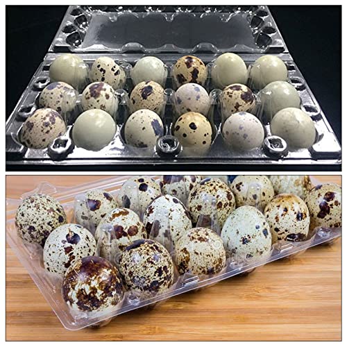 JAPCHET 100 Pack Stackable Plastic Egg Cartons - Reusable, Cheap Bulk, 18 Grid, Quail Egg Container - size: 100 Pack 18 Grid