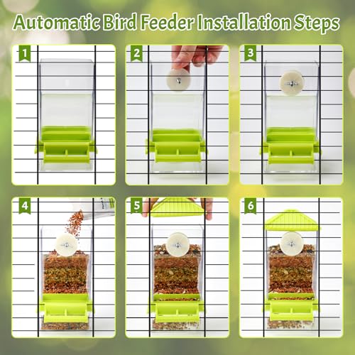 Rypet No-Mess Bird Feeder and Water Dispenser Set for Small Birds | Automatic Bird Feeder, Transparent Acrylic Food Container, Helps Reduce Seed Scatter, for Parakeet Cockatiel Parrot Canary - color: A80 Green Feeder + Drinking Bottle