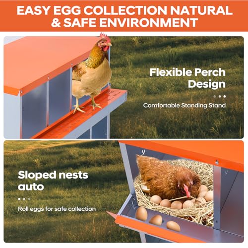 GarveeLife Chicken Nesting Box, 10 Compartments Nesting Box for Chickens, Two-Tier Galvanized Steel Chicken Egg Laying Box with Large Vented Holes Wall Mounting for Easy Egg Collection - color: Orange | 10 Compartments