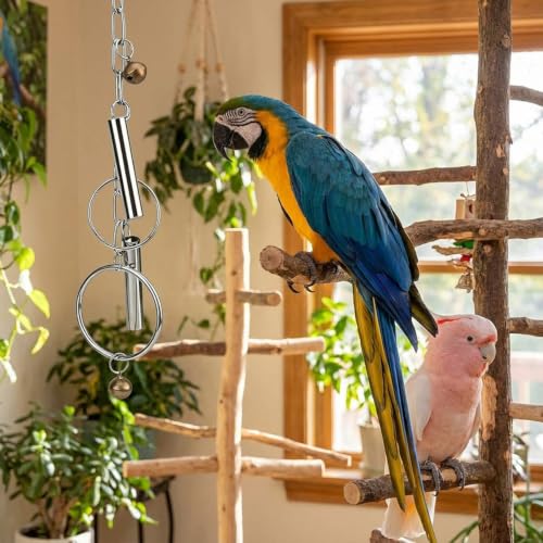 Durable Stainless Steel, Engaging Sound & Chew Resistant Pet Enrichment Toys Bird Bell Toy with Hanging Metal Rings - Heavy Duty Parrot Cage Accessory for Macaws, Cockatoos & Large Birds