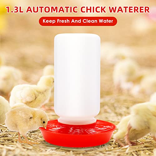 Chick Feeder and Waterer Kit with 75W Heat Lamp, Chick Perch, Flip Top Poultry Feeder, Baby Chick Starter Kit for Chick Brooder, Baby Chicken Supplies for Baby Chick, Duck and Quail - color: Chick Feeder and Waterer Kit With 75w Heat Lamp