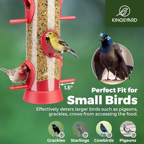 Kingsyard 2 Pack Tube Bird Feeders for Outdoors Hanging | 6-Port with 360° Feeding, No-Spill Design, 2 lb Seed Capacity, Attracts Finches & Songbirds, Garden & Backyard Decor, Red - color: Red