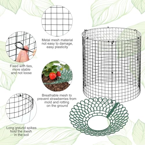 6 Pack Round Upgraded Strawberry Supports with Wire Covers Plant Protectors from Animal - All-in-One Garden Protection Kit to Defend Against Rabbits, Birds, Squirrels for Strawberries and Vegetables