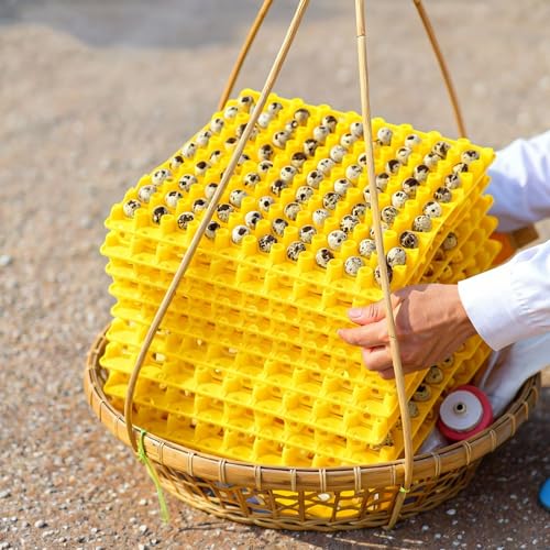 Teenyyou 10 Pcs 90 Egg Plastic Trays Quail Egg Flats Holder for Quail Pigeon Dove Bird Flat Carton (Yellow) - color: Yellow