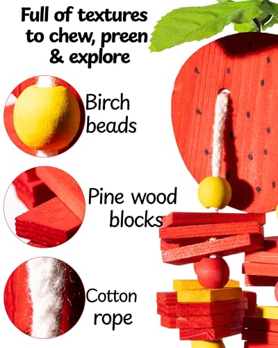 Fruit Conure Shreddable Chew Toys, Hanging Wood Block Bird Cage Toy for Parrots, Parakeets, Cockatiels and Small Birds, Shred Toy for Small Parrots (Red Strawberry) - color: Red Strawberry