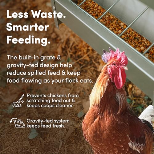 RentACoop 25lb Gravity-Fed Metal Trough Feeder with Lid & Rain Cover - size: 25LB Capacity