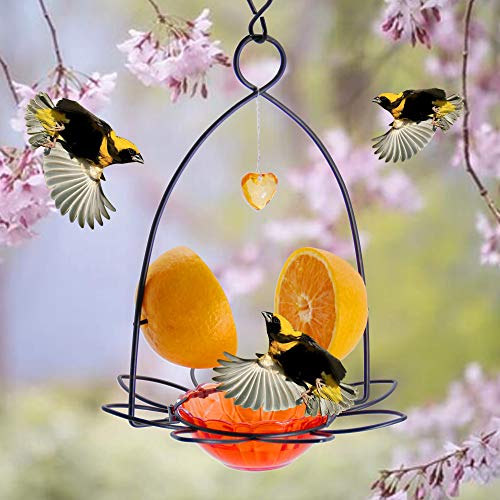 FORUP Oriole Bird Feeder, Orange Fruit Oriole Feeder - color: Orange
