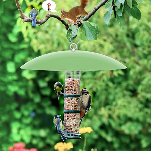 13" Bird Feeder Rain Guard, Hummingbird Feeders Shade Dome Cover, Hanging Baffle for Bird Feeder Pole,Smart Birds Feeder's Umbrella(Light Green), 1 Pack - color: Grass green, size: 13Inch / 1 Pack