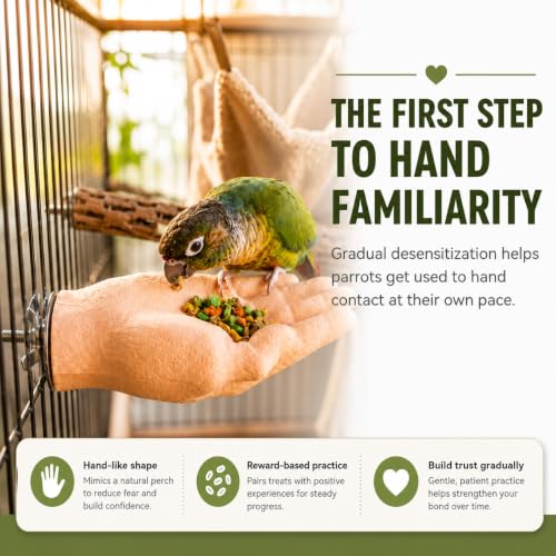 Hand-Shaped Parrot Perch for Bird Cage, Washable Desensitization and Step-Up Training Stand with Secure Screw Mount, Adult Hand Proportions - size: Open Palm