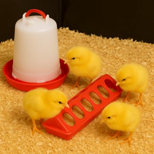 Amakunft 5 in 1 Chick Brooder Box Small Animals Chicken Playpen with Pad Mat, Chick Waterer and Feeder Pop Up Playpen Tent Chicks Coop Indoor/Outdoor for Baby Chicken/Duck - color: Black with Pad+Waterer+Feeder