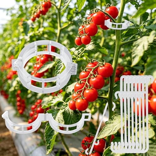 250 Pcs Tomato Clips and Hooks, Plant Support Clips for Tomatoes Grape Grow | for Plants Grow Upright or Prevent Falling Off, Makes Plants Healthier, J Tomato Hooks Trellis Vine Cages Clip