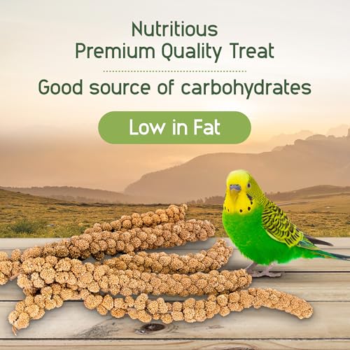 Living World Millet Spray for Birds, 17.6 Oz | Premium Treat for Budgies, Canaries, Finches, Cockatiels and Other Pet Birds - size: 1.1 Pound (Pack of 1)