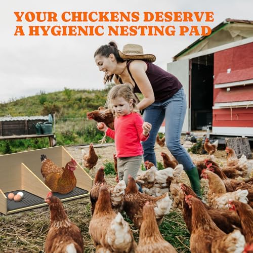 Pawtners Chicken Nesting Pads for Coop Bedding, Washable Nesting Box Liners for Chicken Laying Boxes, 12"x 12", 6 Pack - color: Grey - 6Pack