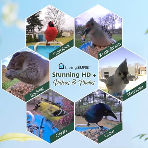 2-in-1 Smart Bird Feeder with Camera Outdoor Solar Powered Smart | Birdfeeder Live Stream Video Camera with AI Recognition for Outside Wild Birds Garden Decor - Bird Lover Gifts by LivingSURE