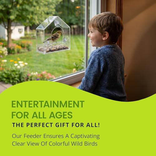 Window Bird Feeder with Strong Suction Cups, Clear Acrylic Window Mounted Bird Feeder, Removable Sliding Tray, Weather-Resistant, Durable, Squirrel-Resistant, House Style - size: House
