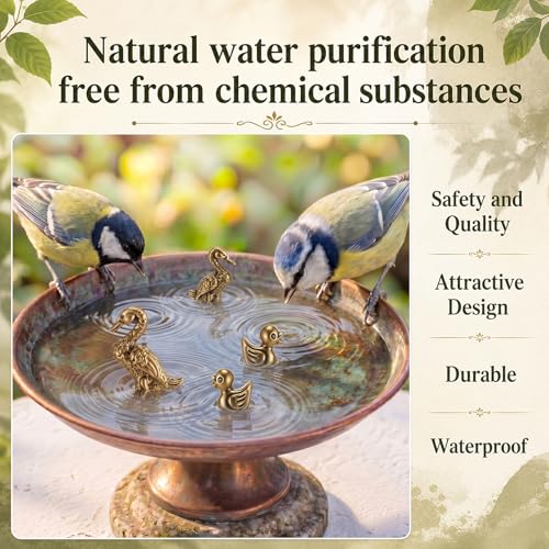 4 Pcs Mini Bird Bath Copper Ornaments Bird Bath Purification Disk Birdbath Cleaner Single 1 oz Weight Universal Fit for Outdoor Birdbaths, Bowl (Duck) - style: Duck