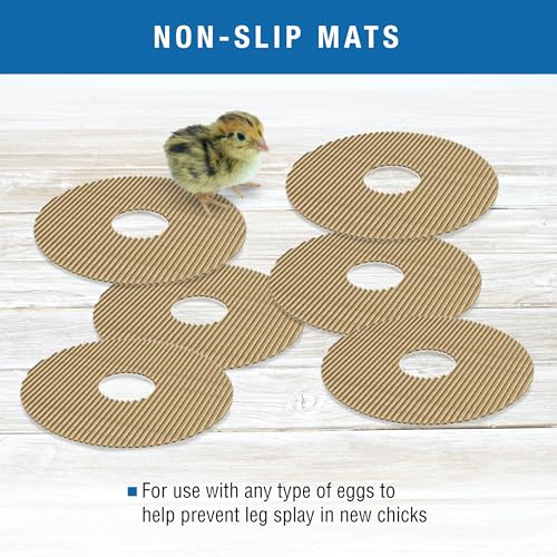 Brinsea Cardboard Hatching Mat for Mini Egg Incubators, Pack of 6 | Authentic Brinsea Mini II Incubators liner; textured, disposable floor covering helps chicks grip safely during hatching - size: Mini, 7 Eggs