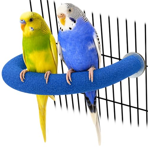Rypet U-Shaped Parrot Perch, Quartz Bird Perch for Cage(Blue S) | Safe Chew & Rest Perch for Large Birds, Durable Non-Toxic Cage Accessory, for Parakeets Cockatiels Conures Macaws - color: Blue, size: Small