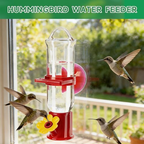 Window Bird Feeders (Large & Small) Plus Hummingbird Waterers（3-Piece Set） Lure Various Birds, Offer Easy Food & Water Access. Extra-Strong Suction Cups, Easy to Mount, Perfect for Outdoor Use - size: 3-piece set