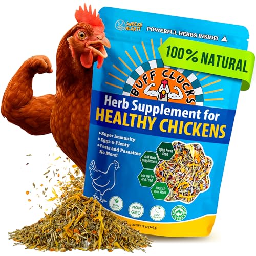 Buff Clucks Herbs Supplement for Chicken Food Natural Poultry Feed, 12 oz | Healthy Chick Snacks for Daily Wellness Feather Quality Egg Production Plant Based Chicken Herbs for Feed Treats for Chickens - size: 12 Ounce (Pack of 1)