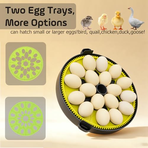 Egg Incubator with Auto Egg Turner and Lock 3Days Before Hatch,Temperature and Humidity Automatic Control with Day Counter Egg Candler,Hatching Chicken Duck Goose Quail Parrot at Home - size: 18H-1