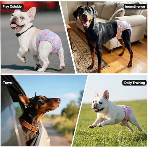 Female Dog Diapers Reusable No Tail Hole Period Panties Washable 3 Pack Diapers Female for Docked-Tail Frenchie French Bulldog Boston Terrier Without Tail U-WWD07L - size: L(Waistline:20"-27")