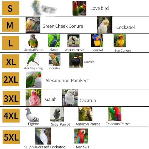 PARREN Bird Clothes Parrot diapers bird flight suits, reusable waterproof diapers pet bird supplies (M), Green