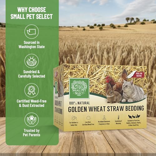Small Pet Select - Golden Wheat Straw Bedding, 8lb, 100% Natural Plant Material, Soft Animal Bedding Litter with Odor Control for, Rabbit, Hamster, or Bunny, Habitat Accessories, Made in USA