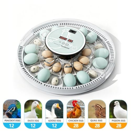 MeeF Egg Incubator for Hatching 28 Eggs, Auto Flip, Independent Atomizing Humidifier, with Duck and Goose Egg Trays (Green)