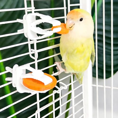 12 Pack Bird Skewers, Bird Kabob Fruit Vegetable Holder for Parrots Conure Cockatiels, Metal Bird Cage Feeder Clips with Hooks, Foraging Toys Supplies - color: white 12pcs