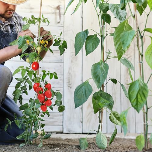 250 Pcs Tomato Clips and Hooks, Plant Support Clips for Tomatoes Grape Grow | for Plants Grow Upright or Prevent Falling Off, Makes Plants Healthier, J Tomato Hooks Trellis Vine Cages Clip