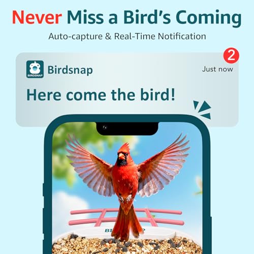 birdsnap® TUC Bird Feeder with Camera Solar Powered 2K Video with 32GB Card | AI Bird Species Identification, Squirrel-Proof, IP65 Waterproof, Outdoor Wireless, 2.4G WiFi, Gift for Mom Dad Bird Lovers - color: Pink