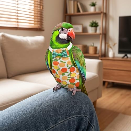 2 Pcs Bird Diaper, Cute Pet Bird Pants Parrot Nappy | Reusable Flight Suit Birds Diapers with 20 Replacement Diapers and 2 Leash for Parakeet Cockatiel Mini Macaw Budgie Canary