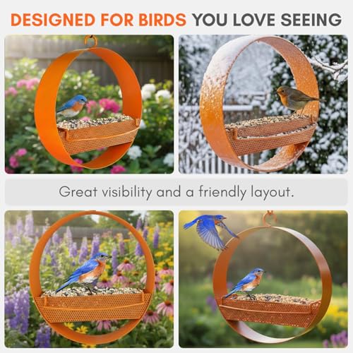 Mosaic Birds Bistro Bird Feeder, Orange, M439-200-O, 1 Piece - color: Orange
