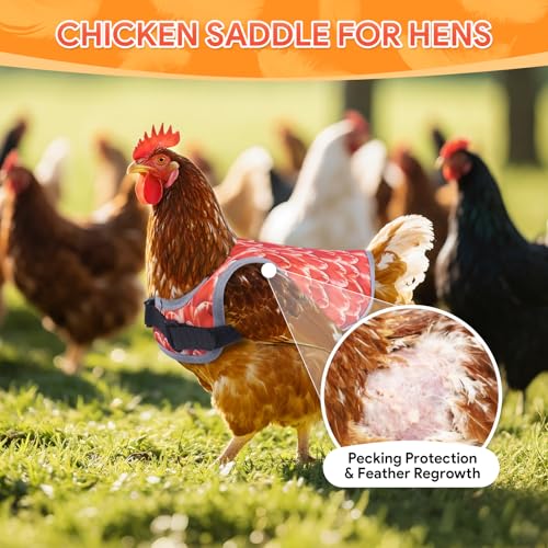 Chicken Saddles for Hens, Chicken Aprons for Hens with Adjustable Straps, Hen Saddle for Chickens - color: Black,White,Orange