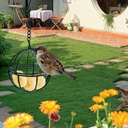 4 Pcs Balls Suet Feeders Metal Hanging Birds Feeder with Hooks for Outside Hanging Fat Ball Bird Feeders Outdoor Garden Wild Birds