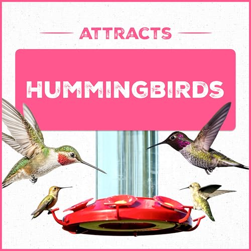Pennington Electro-Nectar Hummingbird Nectar Ready to Use 64-Oz Bottle | With electrolytes, no added color, naturally clear, humming bird nectar, for bottom fill, top fill and dish feeders