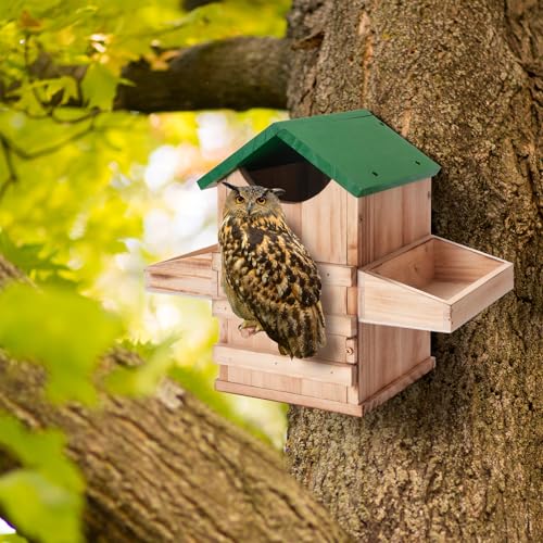Screech Owl House with Feeder, Owl Box with Bird Stand Design | Nesting Box Wood with Mounting Screws, Cozy House for Lovely Birds, Easy Assembly Required - color: Green B