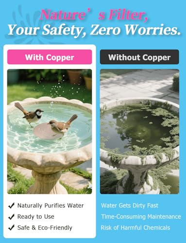 Mellbree 2-Pack Bird Bath Purification Disk, 99.99% Pure Copper Disc Cleaner Safe for Outdoor Bird Bath, Solar Fountains and Concrete Bowls - Bird-Safe Gift for Bird Lovers 0.6mm (Bird Pattern) - color: Copper-Bird