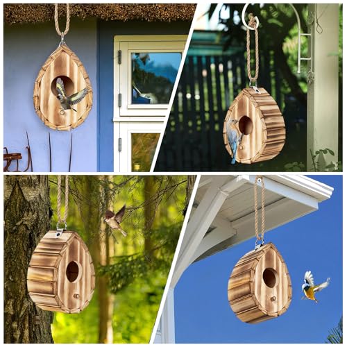 Hummingbird House for Outside - Natural Wooden Birdhouse for Bluebirds, Finches, Cardinals - Small Hanging Bird Nesting Box for Garden, Patio, or Yard - 5.9" D x 4.1" W x 3.8" H