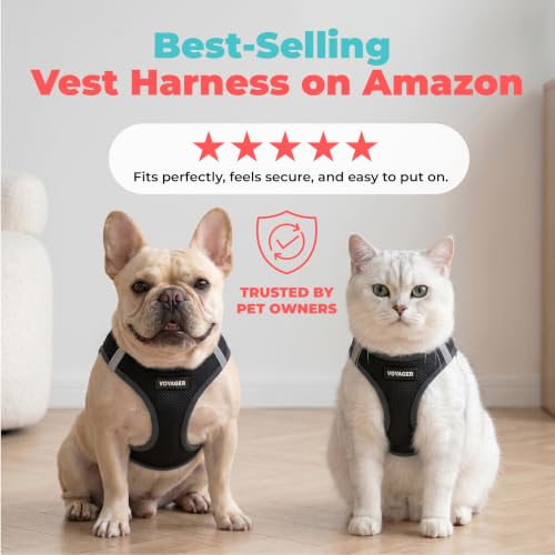 Voyager Step-in Air Dog Vest Harness - Black, XXX-Small | 11 - 12" in Chest, Reflective Bands, All Weather Breathable Air Mesh, Cats Compatible, Lightweight, Fast Drying - color: Harness (Black), size: XXXS (Chest: 11 - 12")