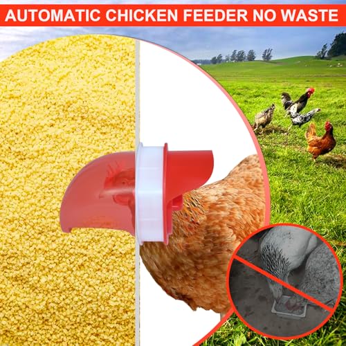 RYFT 85 Pounds Automatic Chicken Feeder 6-Port, Large Capacity Galvanized Metal Fed Chicken with Latch & Handle for Chickens, Pheasants, Bantams Poultry Coop Weatherproof Chicken Feeder