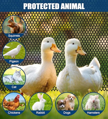 Heavy Duty Black Plastic Chicken Wire Mesh 15.7in*10ft | Easy to cut and bend, no sharp edges. Ideal for poultry, rabbits, dogs, garden beds, balcony screens, floral guards & DIY. - color: 10ft Black