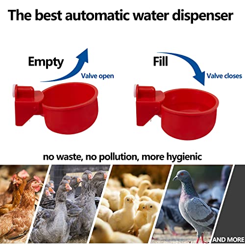 Chicken Automatic Waterer Kit for Poultry Float Style Gravity Water Feeder Drinking Cup Bowl 5 Gallon with Mounting Hole Opener, 12 Pack