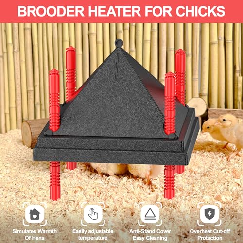 Chick Brooder Heating Plate with Anti Stand Cone, 10"x10" Temp Adjust Black | Adjustable Height Brooder Heater for Chicks, Downward Heat Distribution for Outdoor Barns & Coops - size: 10" x 10" with Temp. Adjustments