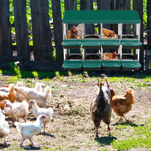 Chicken Nesting Box, Green 8 Hole Chicken Laying Box, Tray for Easy Egg Collection, Large Holes for Ventilation, Suitable for Chickens & Ducks
