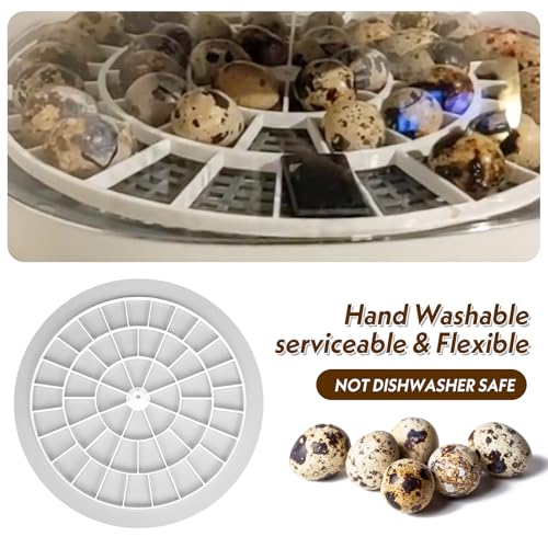 Small Quail/Bird Egg Trays for Nurture Right 360 Egg Incubator ，Small (Quail/Bird) - 48 Eggs