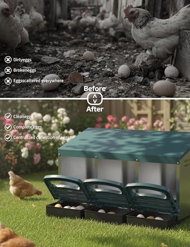 GarveeLife Chicken Nesting Box 3 Hole, Galvanized Steel Nest with Roll Away Egg Collection & Swing Perch, Easy-Clean Laying Box for Hens, Heavy Duty Design for Chicken Coop - color: Green, size: 3 holes